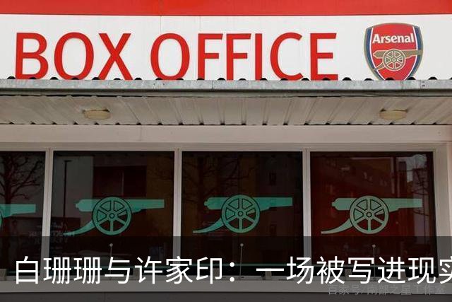 白珊珊与许家印：一场被写进现实的旧剧本